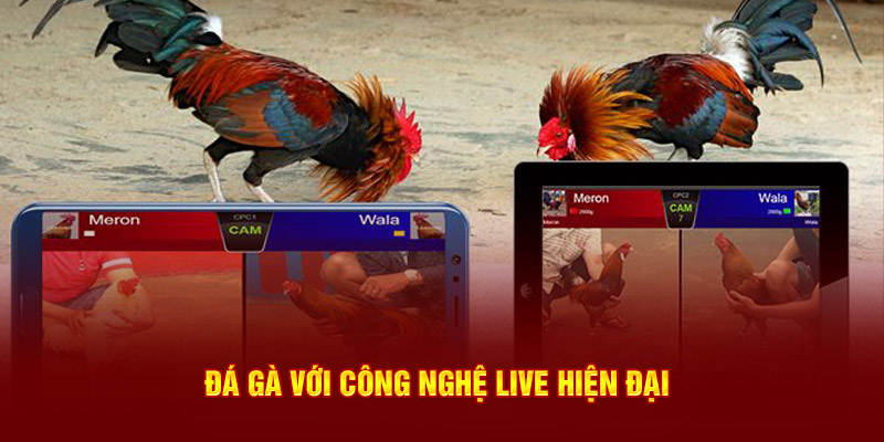 Sảnh cược nổi trội với công nghệ live hiện đại