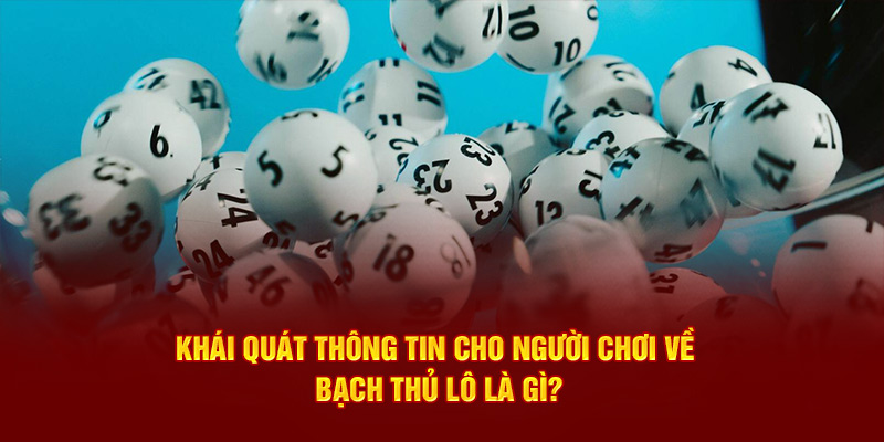 Khái quát thông tin cho người chơi về bạch thủ lô là gì?