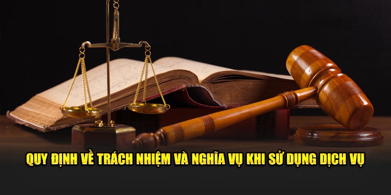 Quy định về trách nhiệm và nghĩa vụ khi sử dụng dịch vụ