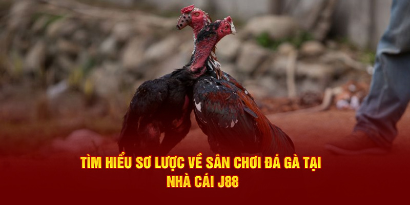 Tìm hiểu sơ lược về sân chơi giải trí độc đáo trên thị trường